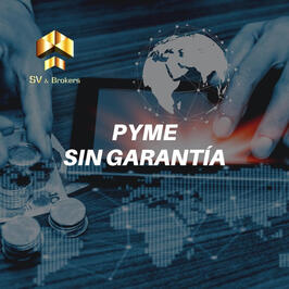 PYME SIN GARANTIA